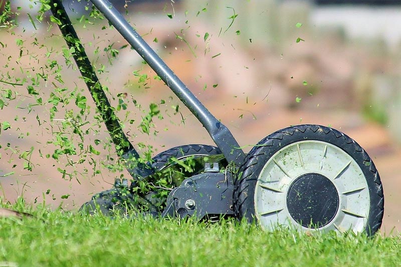 Giardinaggio e cura del verde